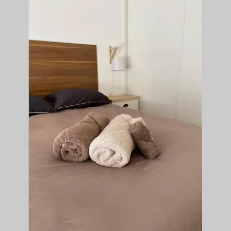 Cocon Sur Cour Apartment Thonon-les-Bains
